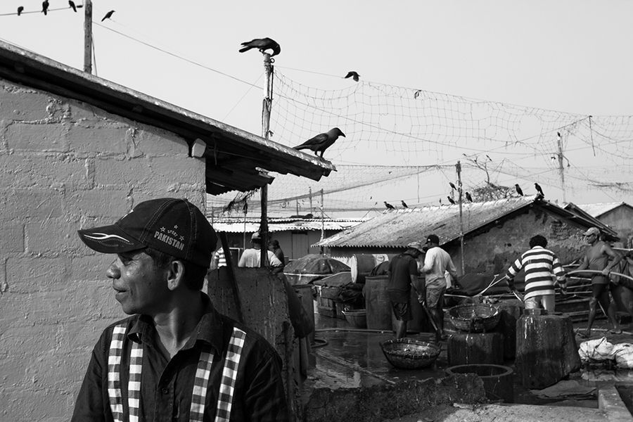 Near the fish market
