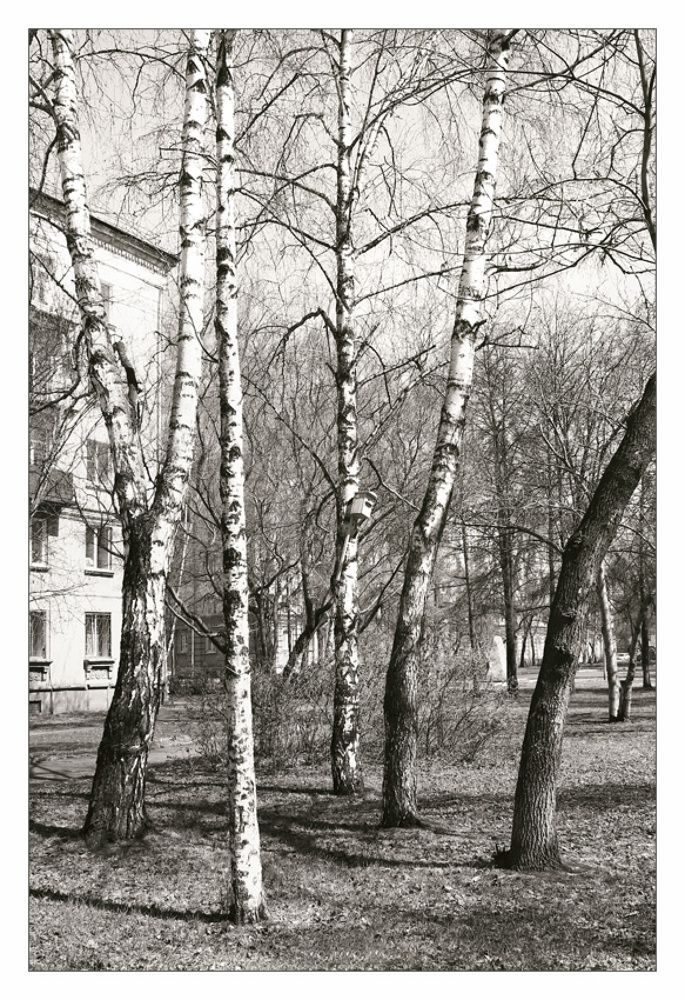 Черно-белая весна. Апрель.