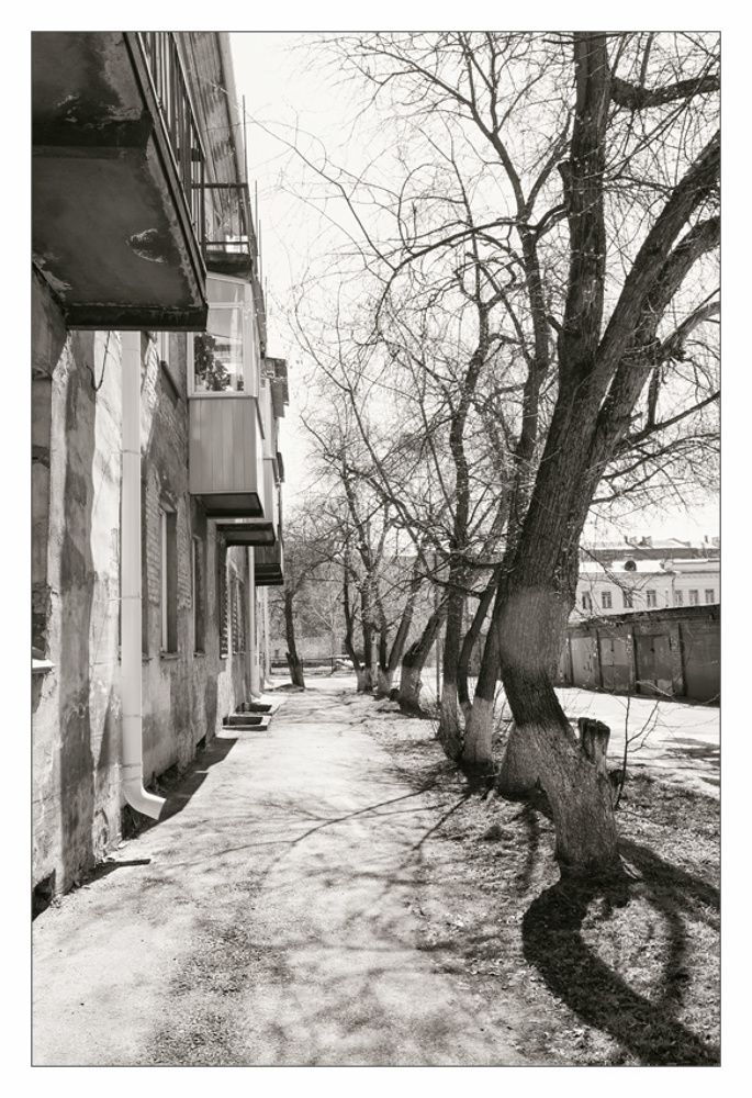 Черно-белая весна. Апрель.