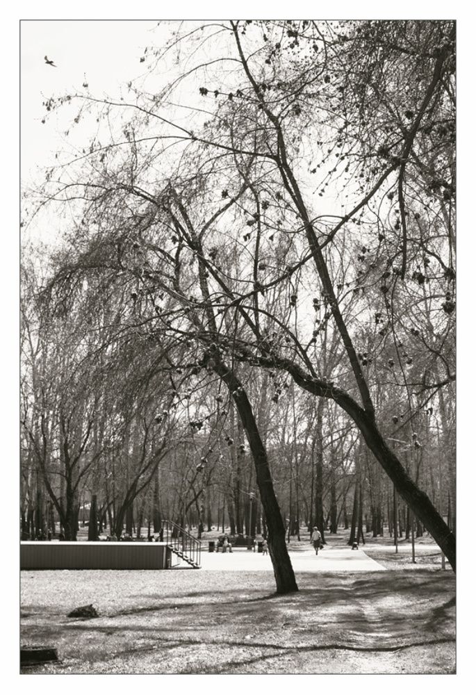 Черно-белая весна. Апрель.