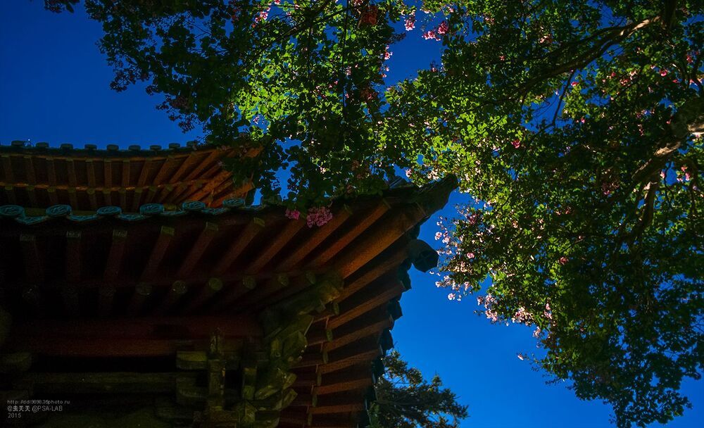 как&nbsp;&nbsp;благодарность храм&nbsp; 平武报恩寺