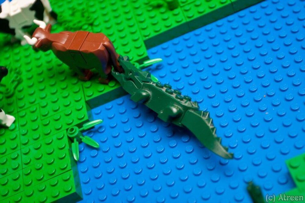 Из жизни LEGO