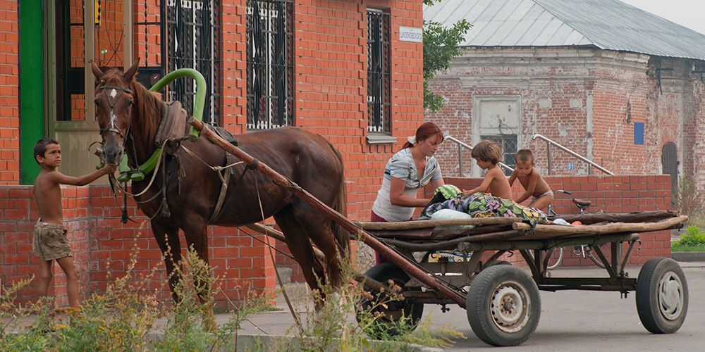 Арбуз на ужин