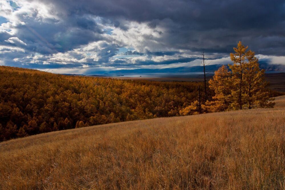 Осень на Ольхоне