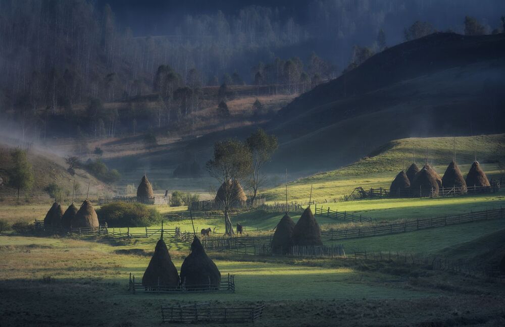 Landscape