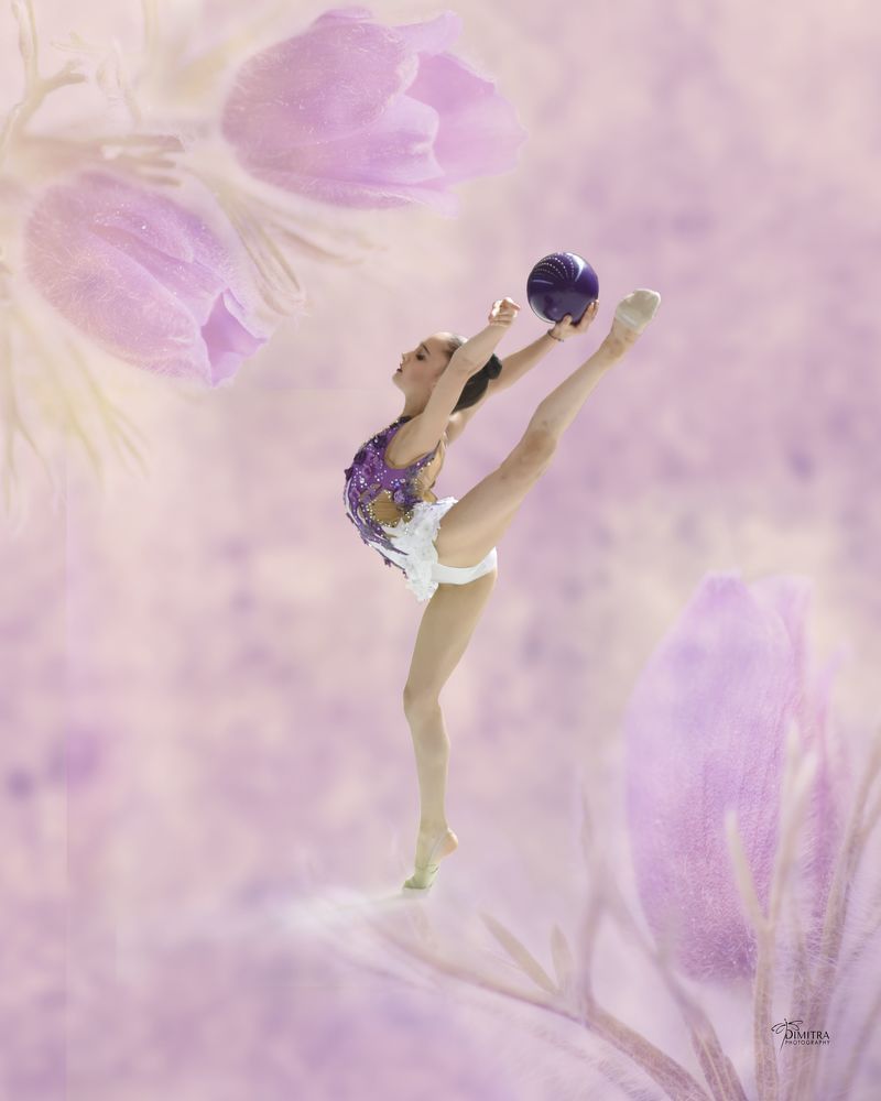 Rhythmic gymnastic arts