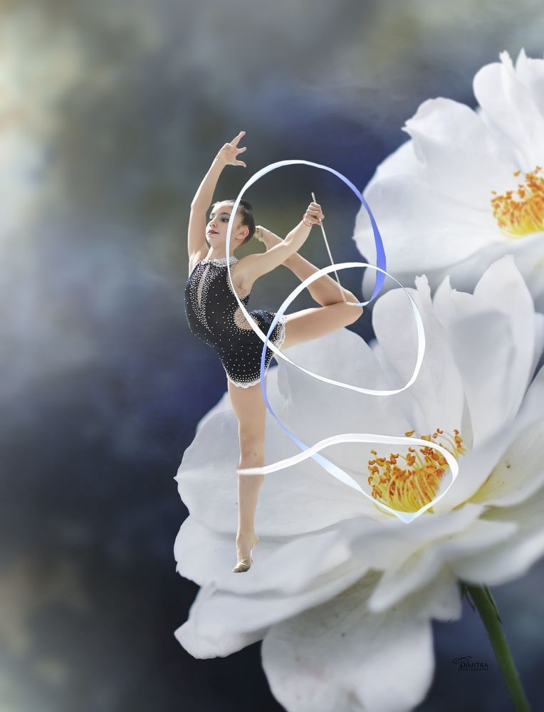 Rhythmic gymnastic arts