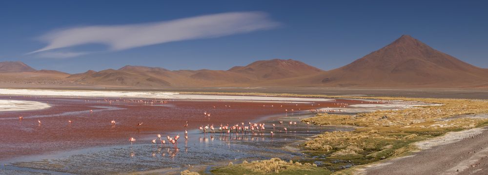 Laguna Colorada