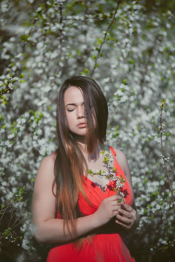 Photo 1102566