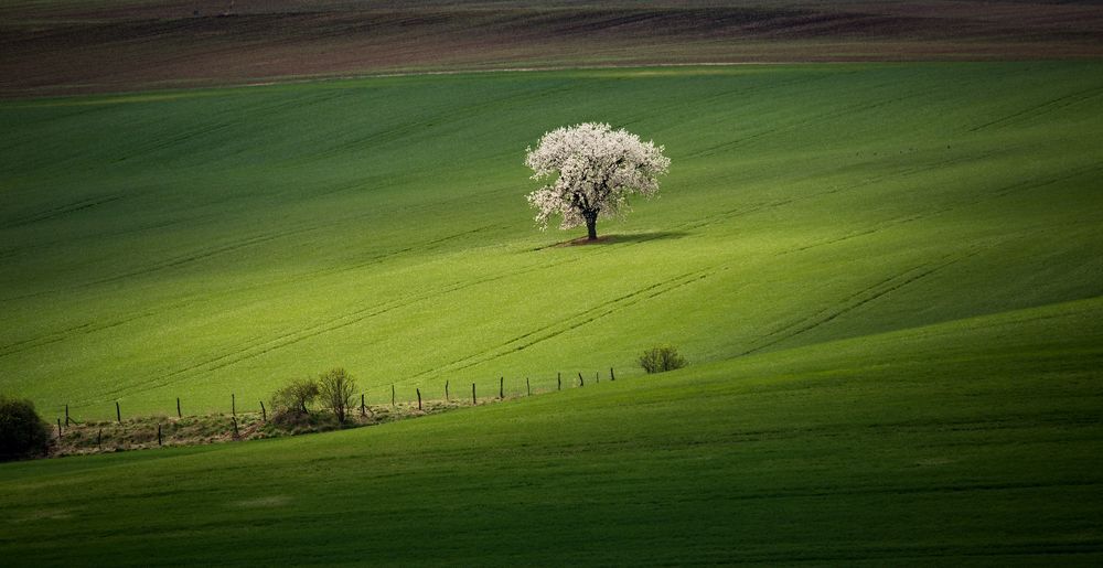 Jarda Kudl&aacute;k