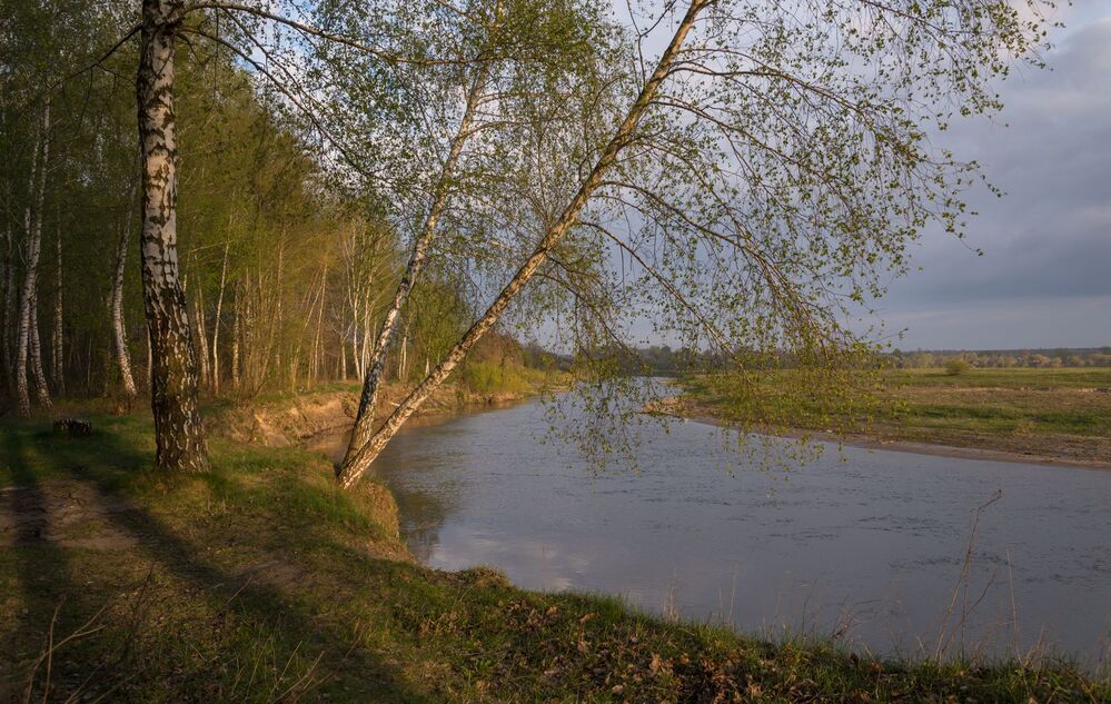 утро у Горини...