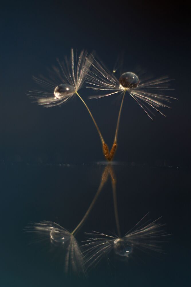 Photo 1103637