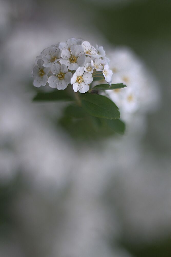 Photo 1103641