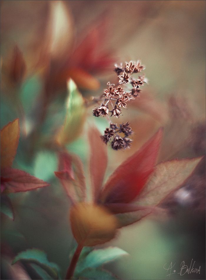 Photo 1103744