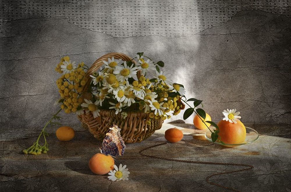 Photo 1103865