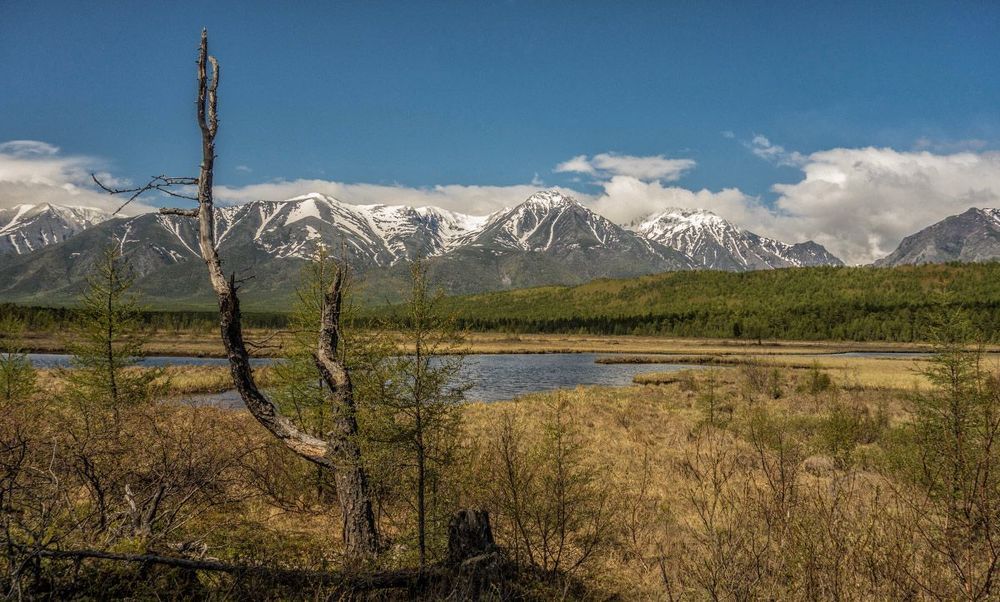 Байкальский хребет
