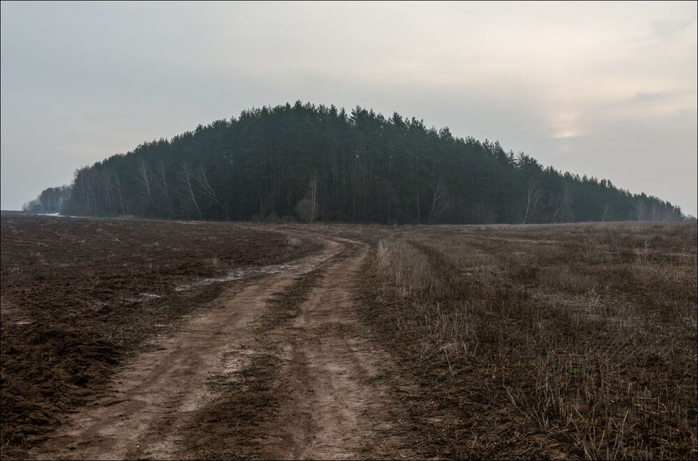 Серый восход