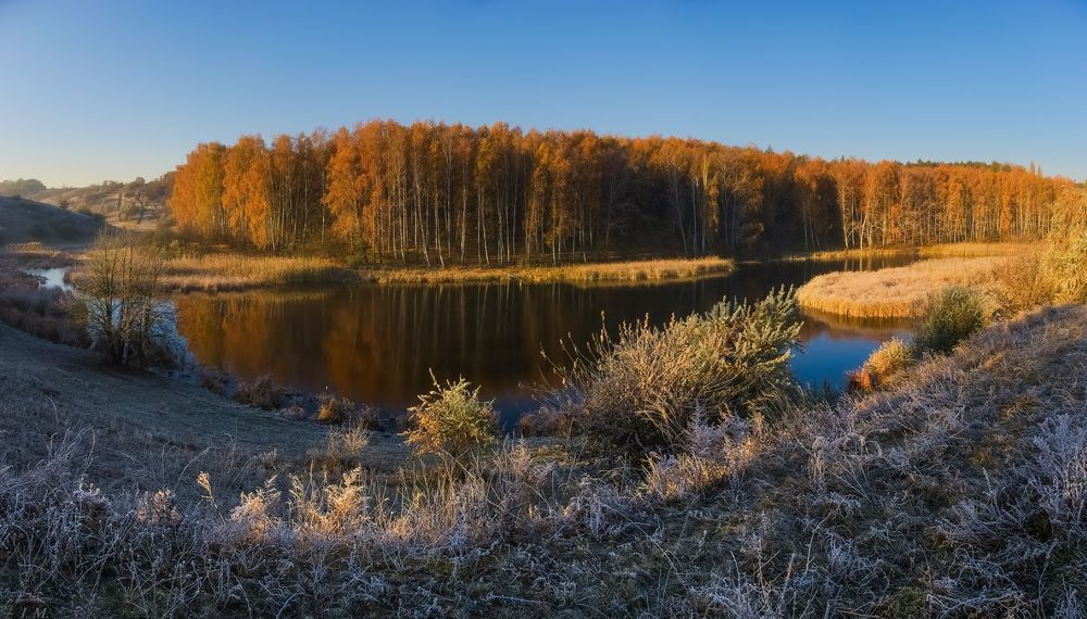 Золотая осень