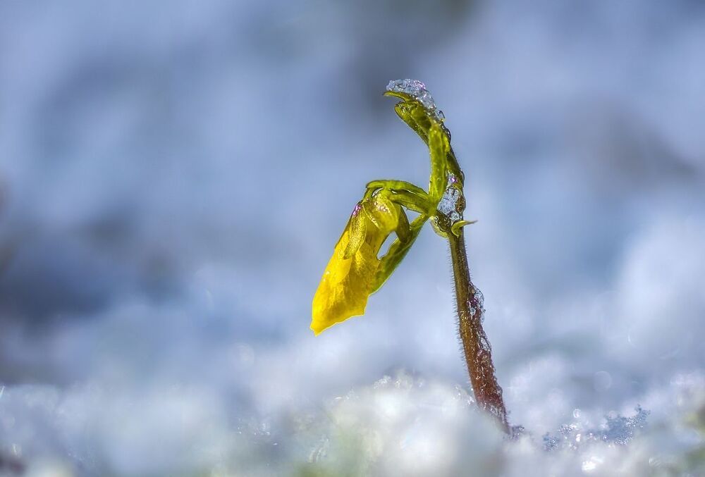 18 мая