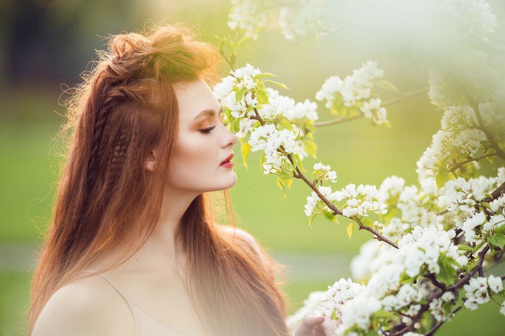 Елена