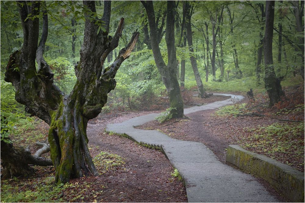 Весенние зарисовки 3