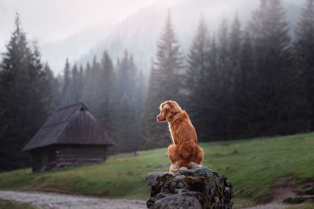 Zakopane. Polska