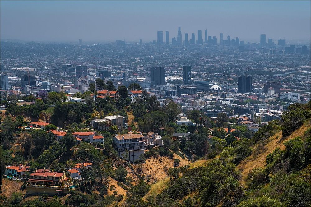 [hollywood hills]