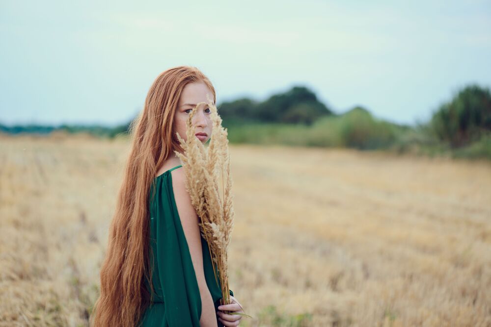 Photo 1107775