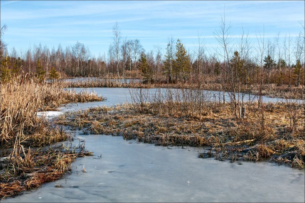 Холодное утро в ласковых лучах