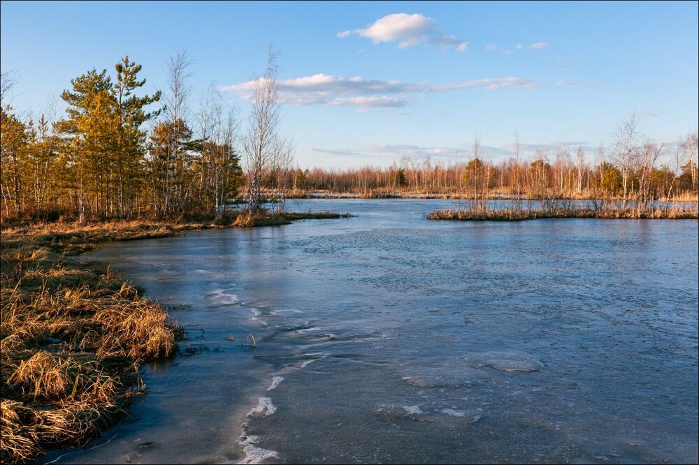 В предзакатном свете