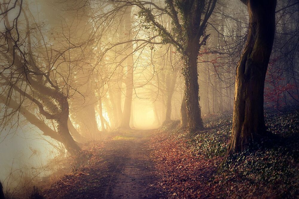 Magic roads and path..