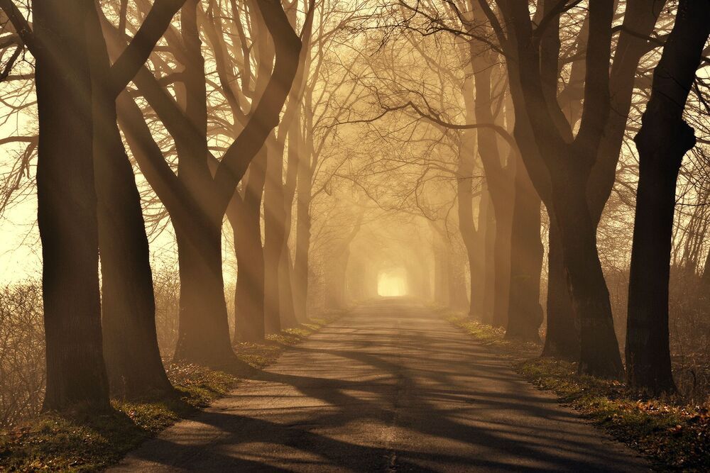 Magic roads and path..