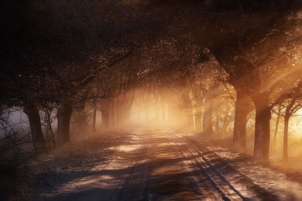 Magic roads and path..