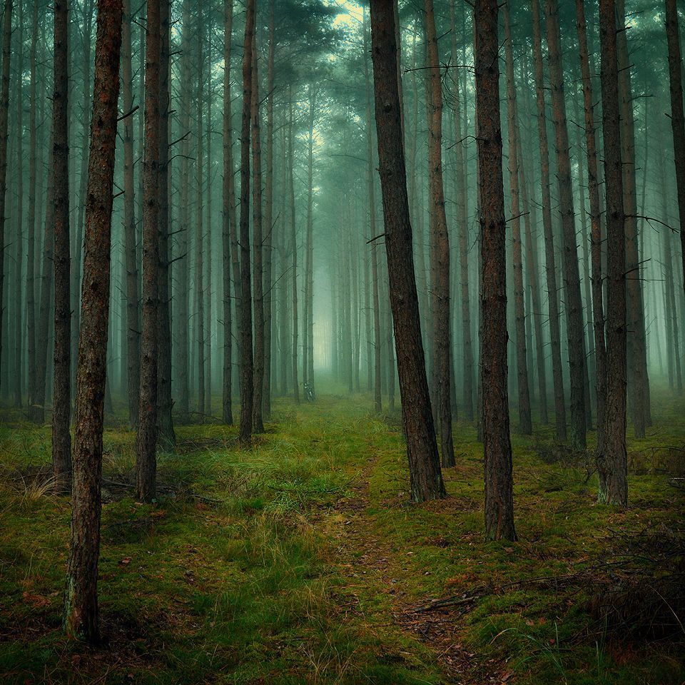 Magic roads and path..