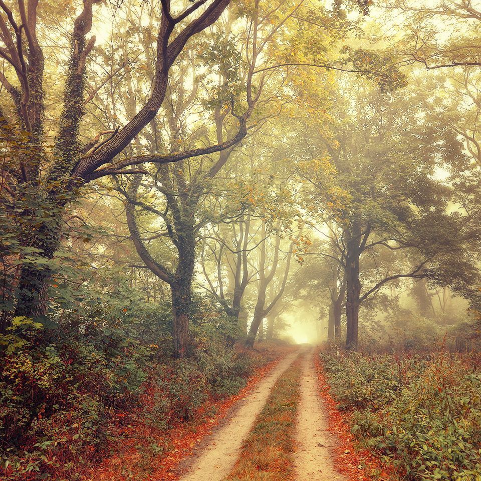 Magic roads and path..