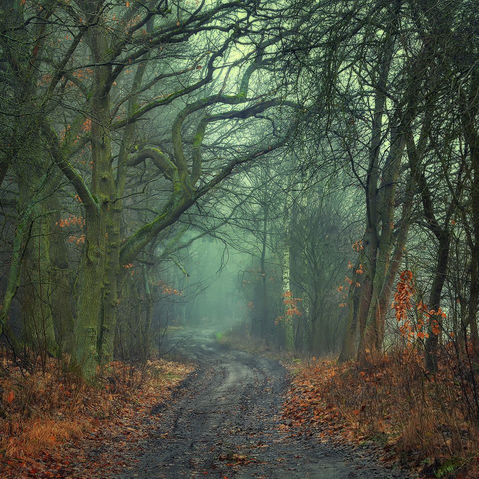 Magic roads and path..