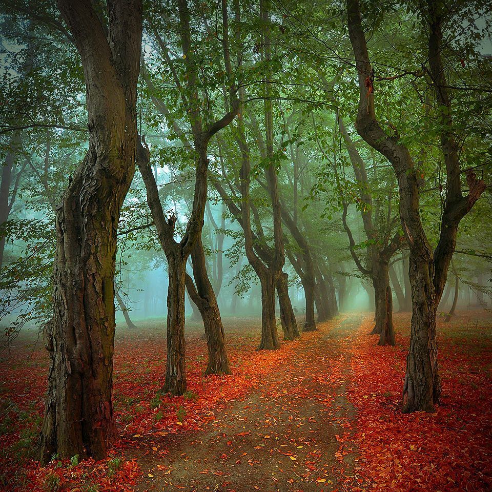 Magic roads and path..