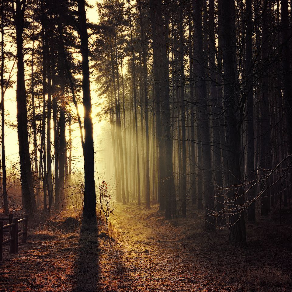Magic roads and path..