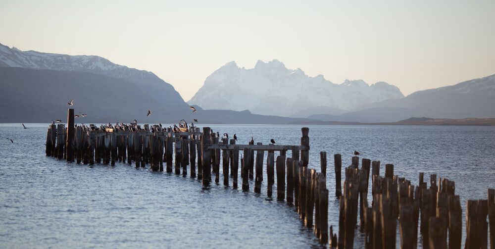 Patagonia