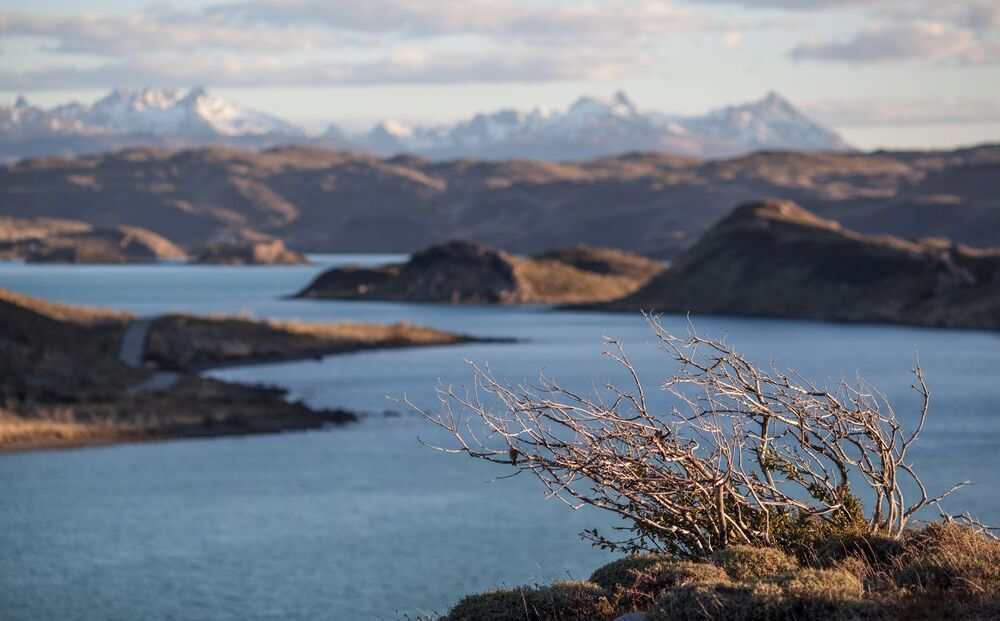 Patagonia