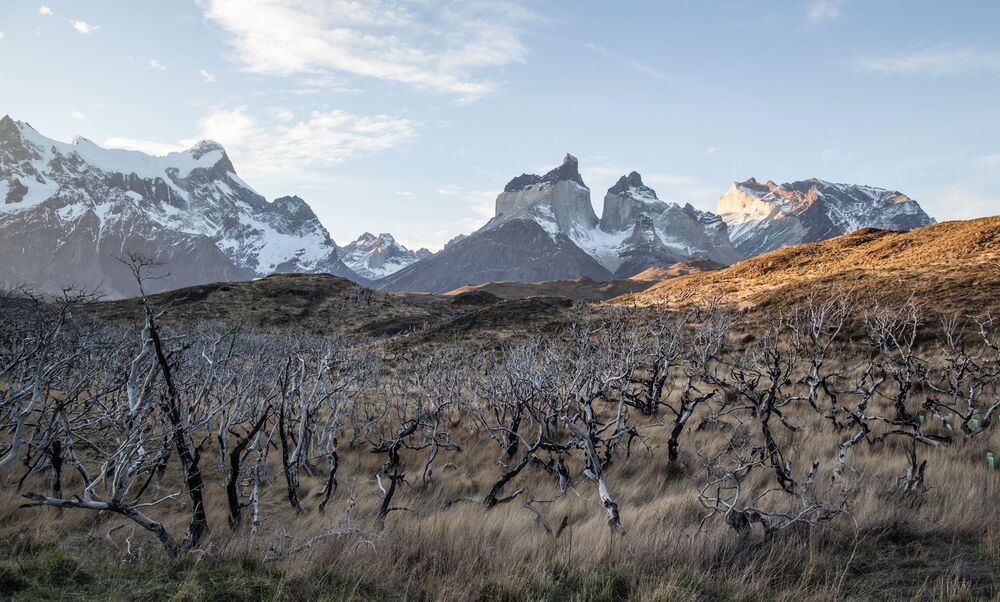 Patagonia