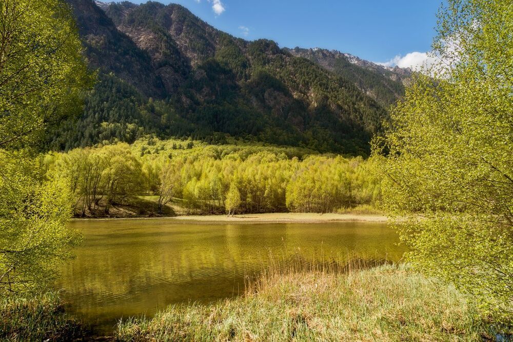 Photo 1110381