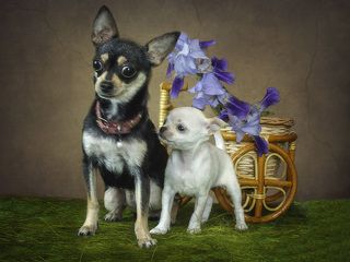 - Мам, ты куда? Я с тобой!