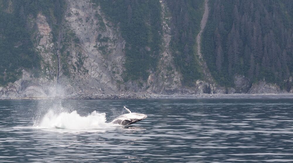 Alaska