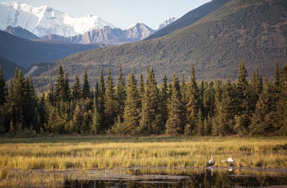 Alaska