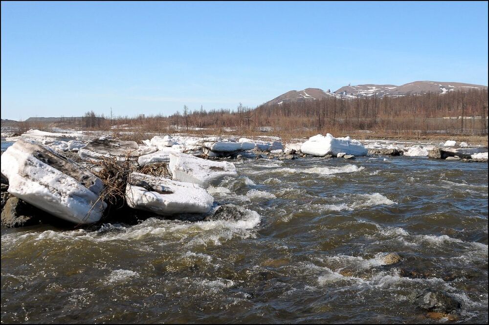 Таймыр.Июньские мотивы.