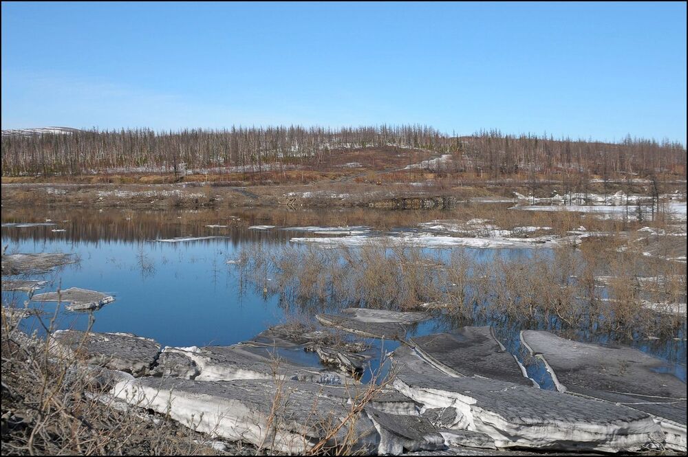 Таймыр.Июньские мотивы.