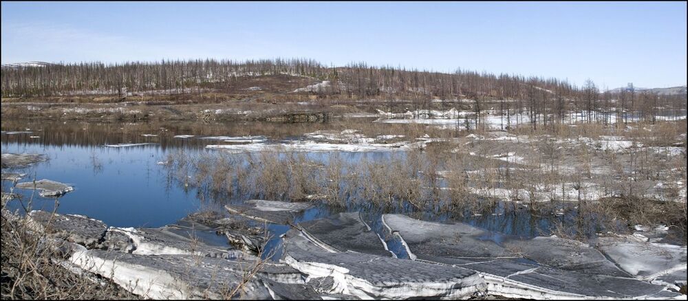 Таймыр.Июньские мотивы.