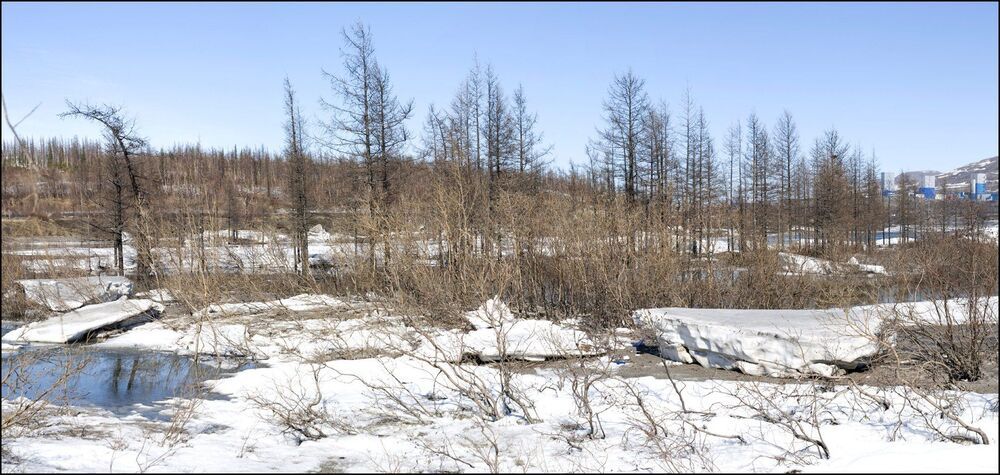 Таймыр.Июньские мотивы.