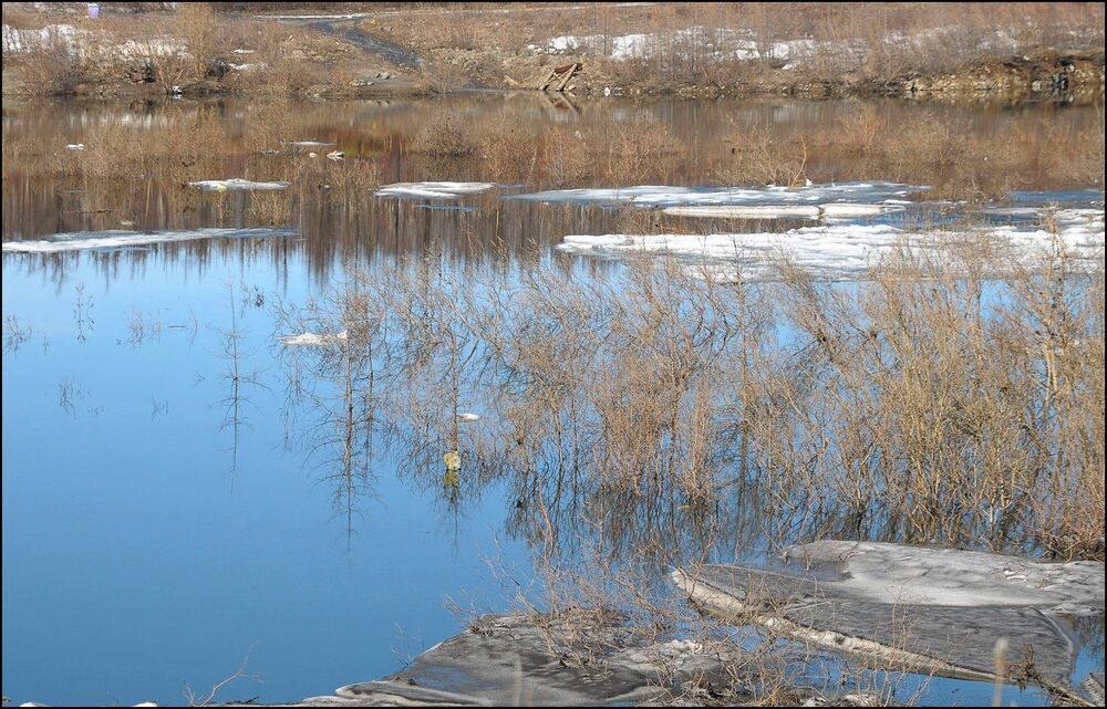 Таймыр.Июньские мотивы.